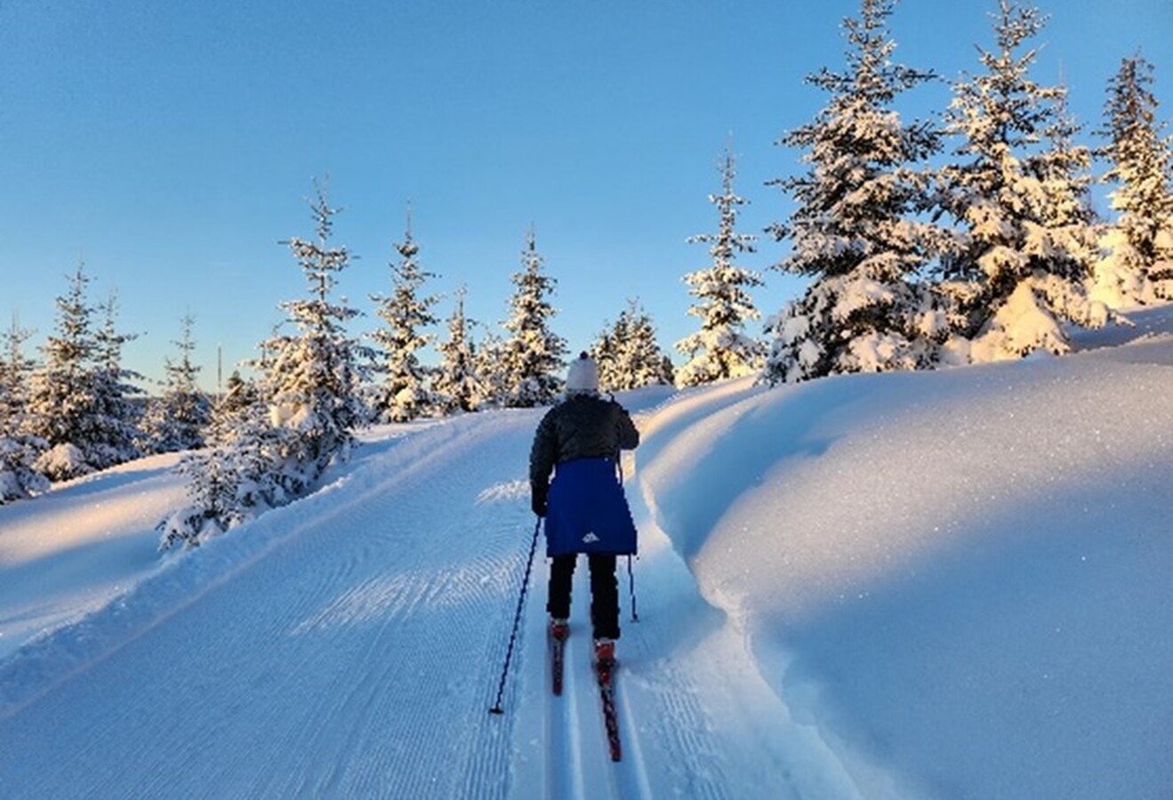 Skirenn