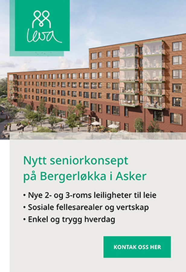 Grunnsteinen