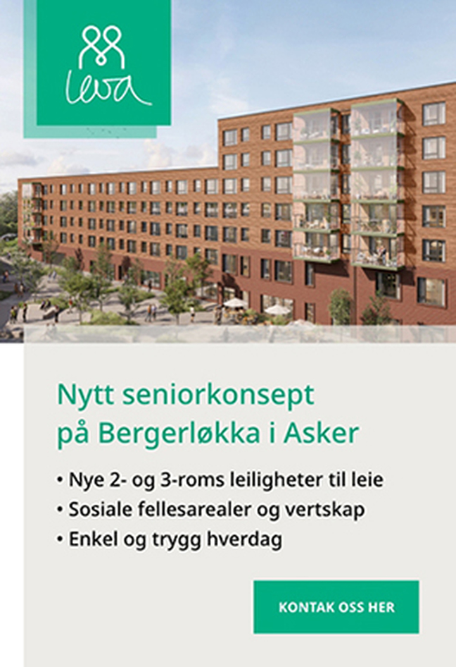 Grunnsteinen