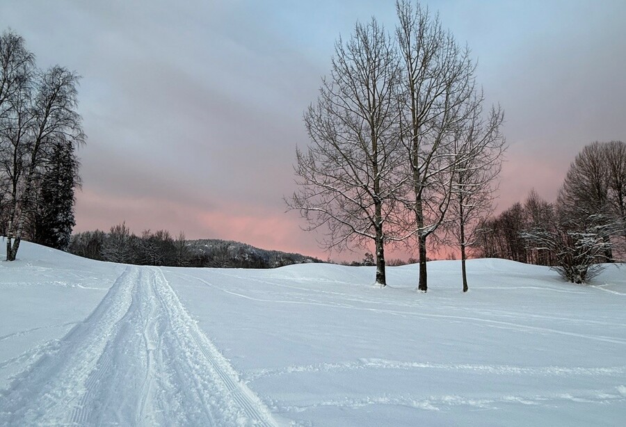 Bærekraft og trygghet i urolige tider