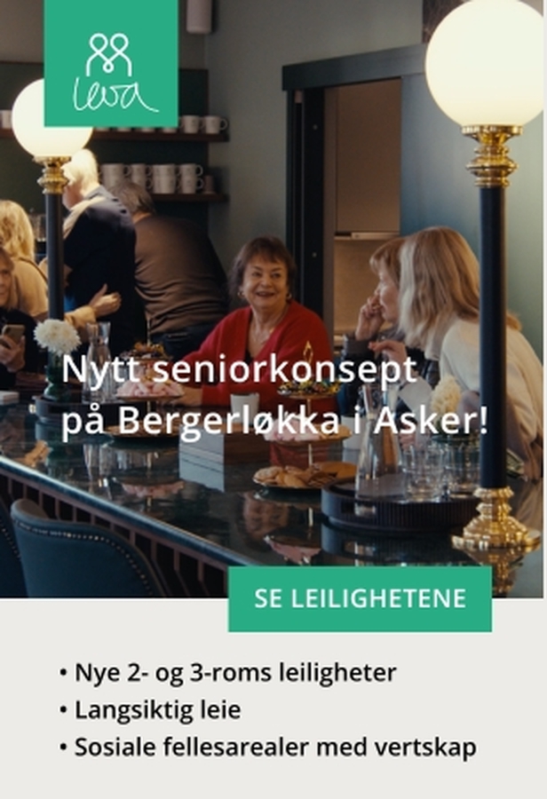 Grunnsteinen
